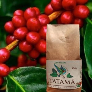 Café en Grano